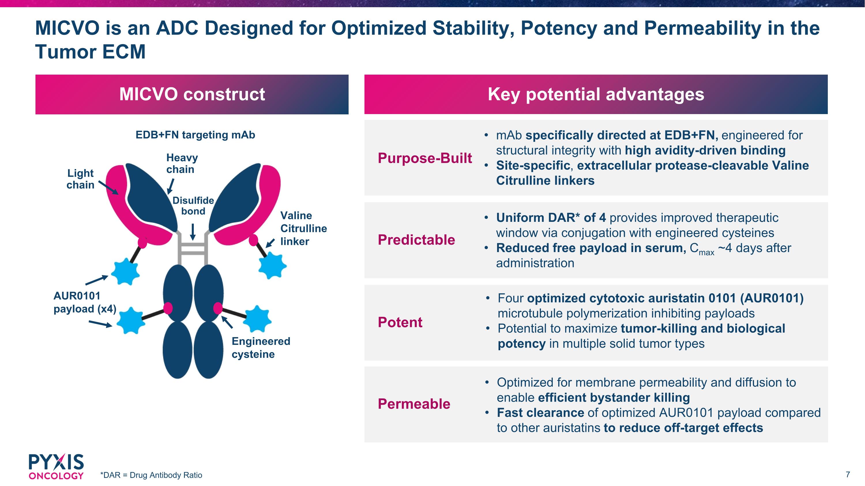 Slide 7