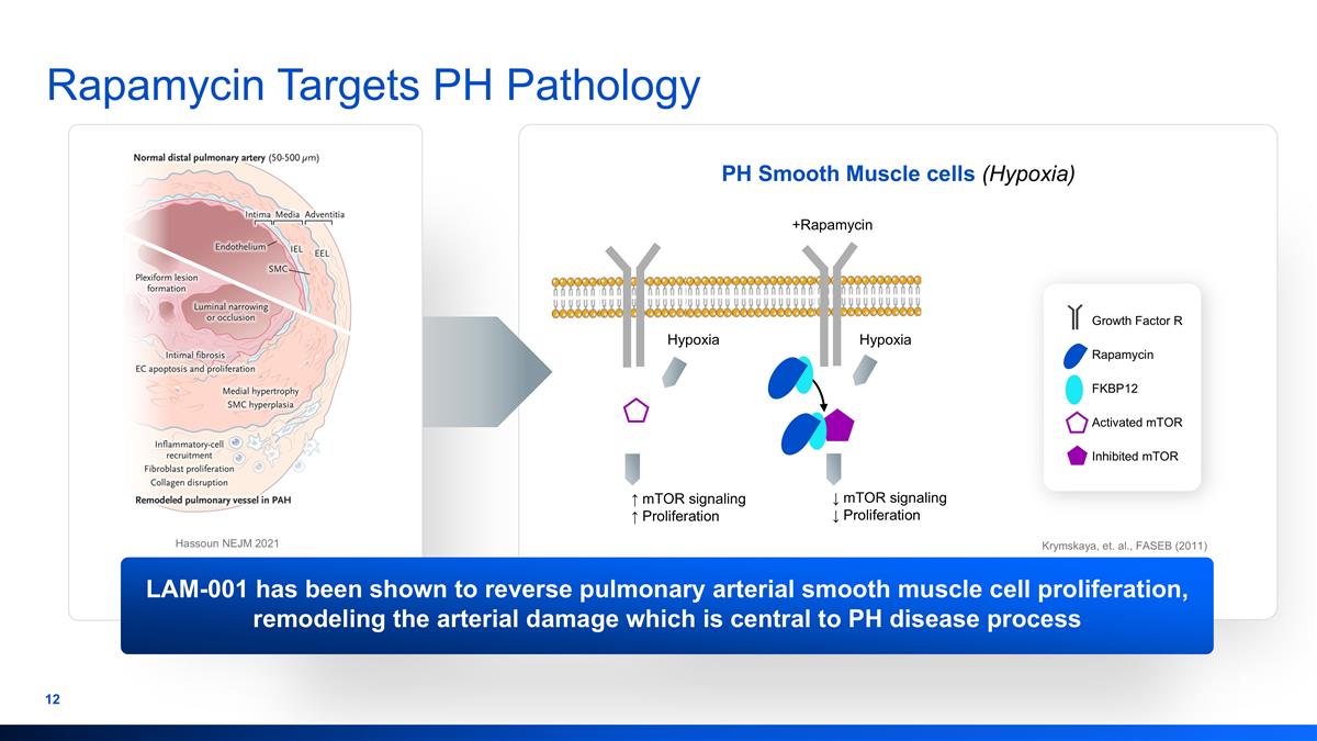 Slide 12