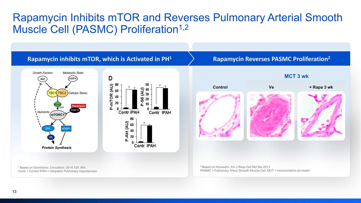Slide 13