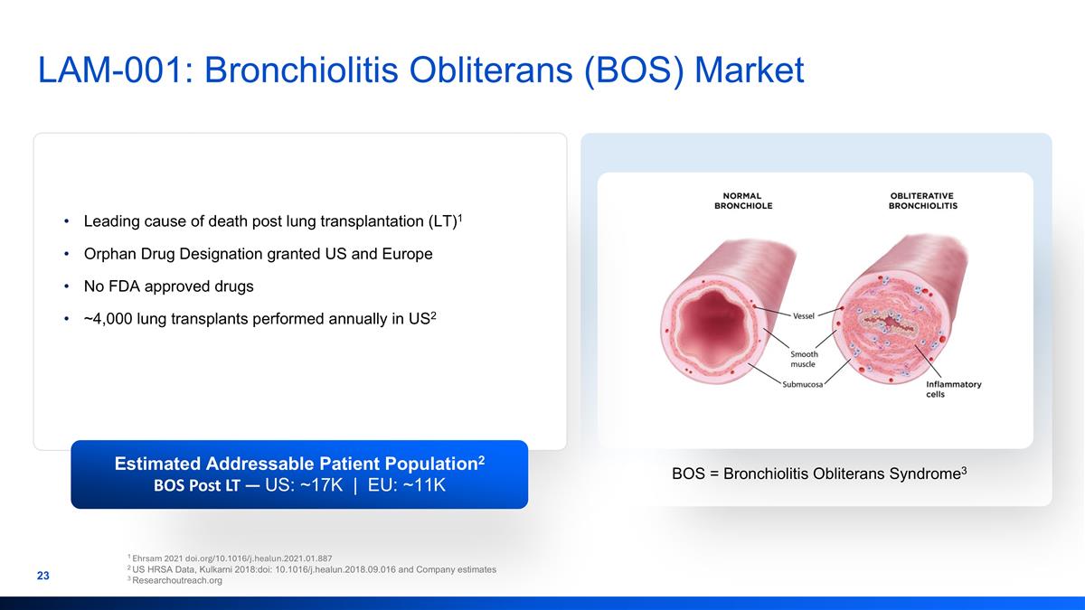 Slide 23