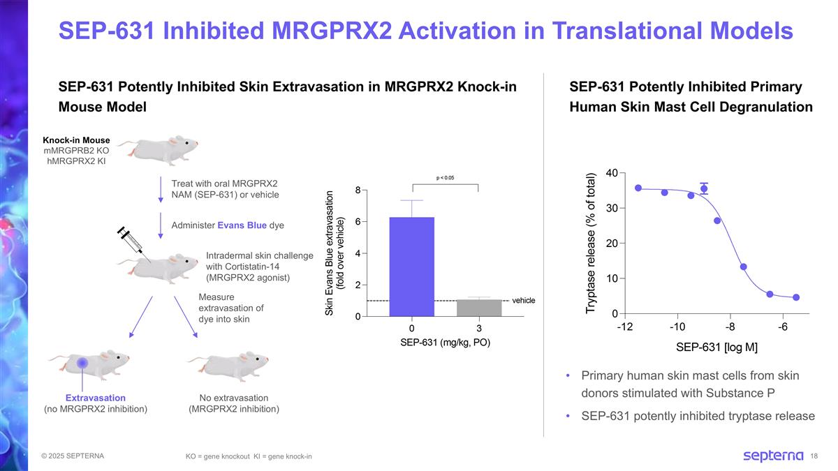Slide 18