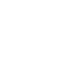AAA logo