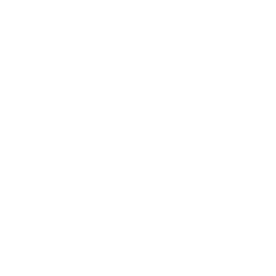 AIRG logo