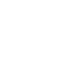 BLIN logo