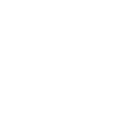 BWA logo