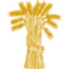 FMNB logo