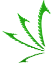 KAYS logo