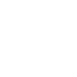 SKIL logo