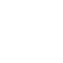 SKIN logo