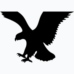 AEO logo