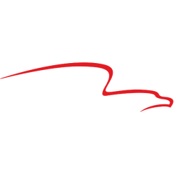 AFG logo