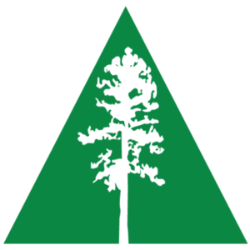 AMSF logo