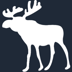 ANF logo