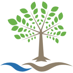 BYSI logo