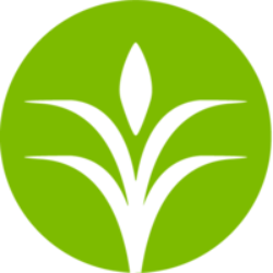 CF logo