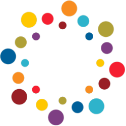 IPDN logo