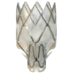 LUNG logo