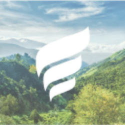 NFE logo