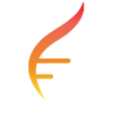 STOK logo