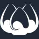 AIHS logo