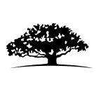 WTMY logo
