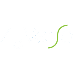 ZVSA logo