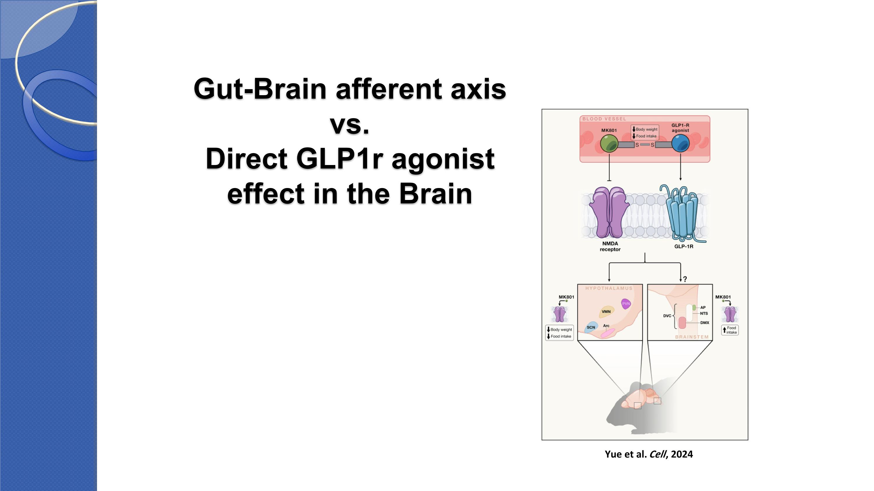 Slide 29