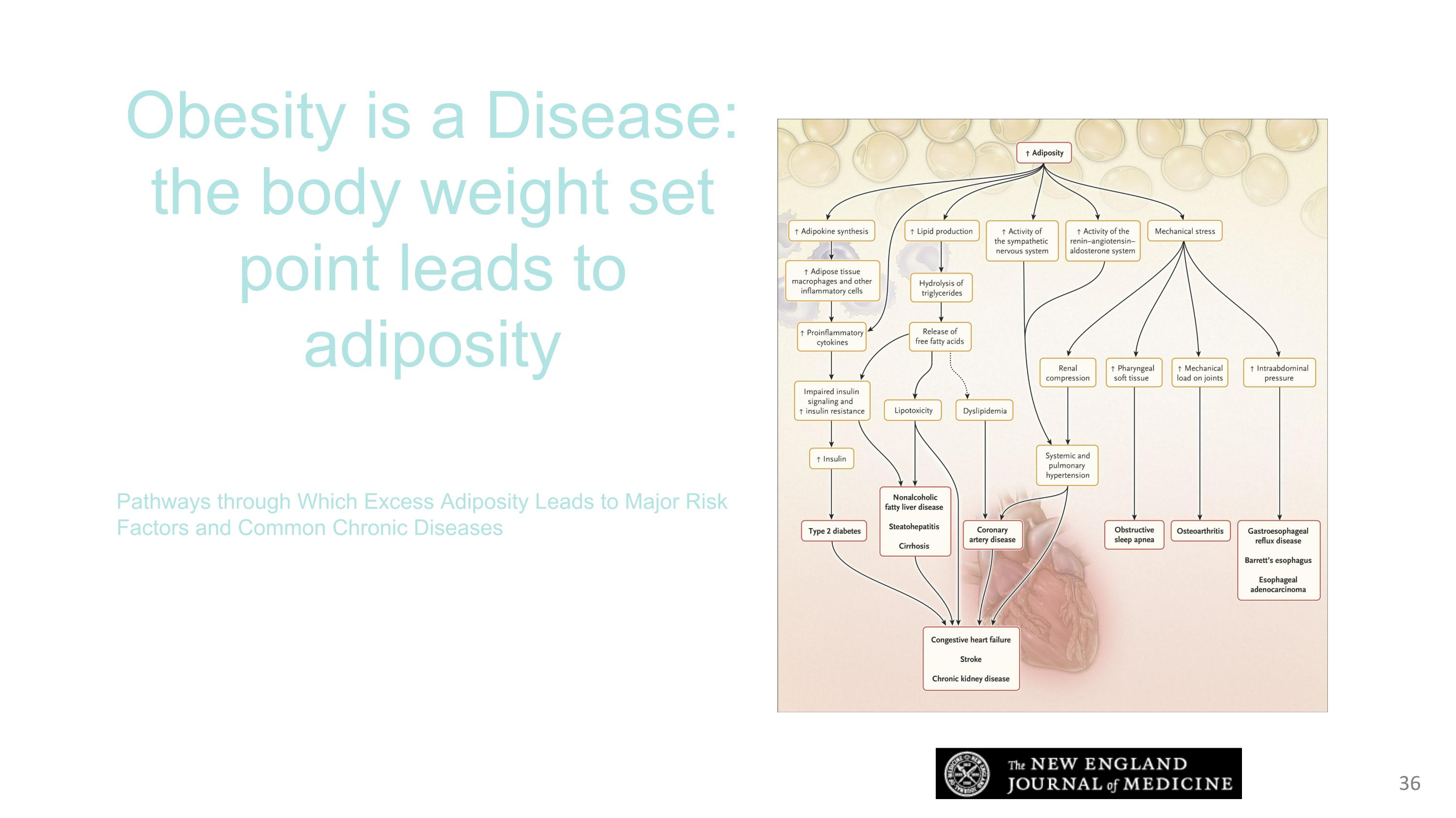 Slide 36