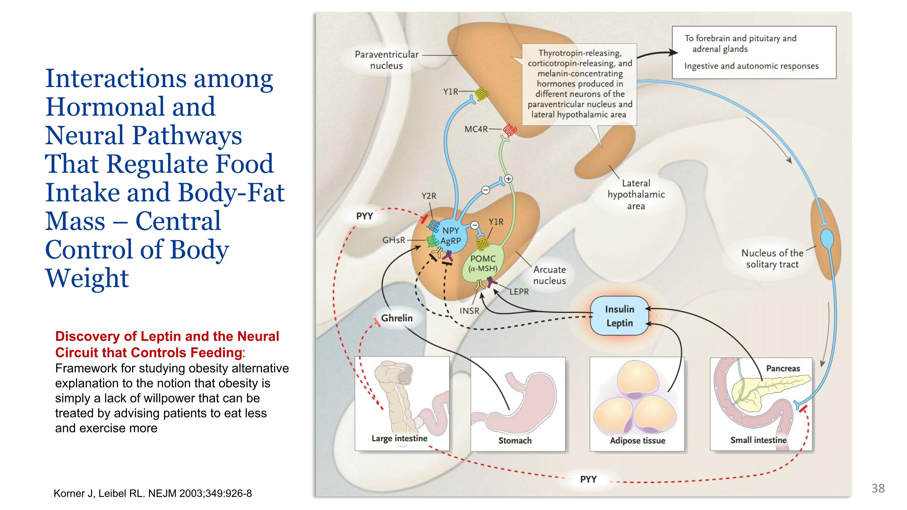 Slide 38