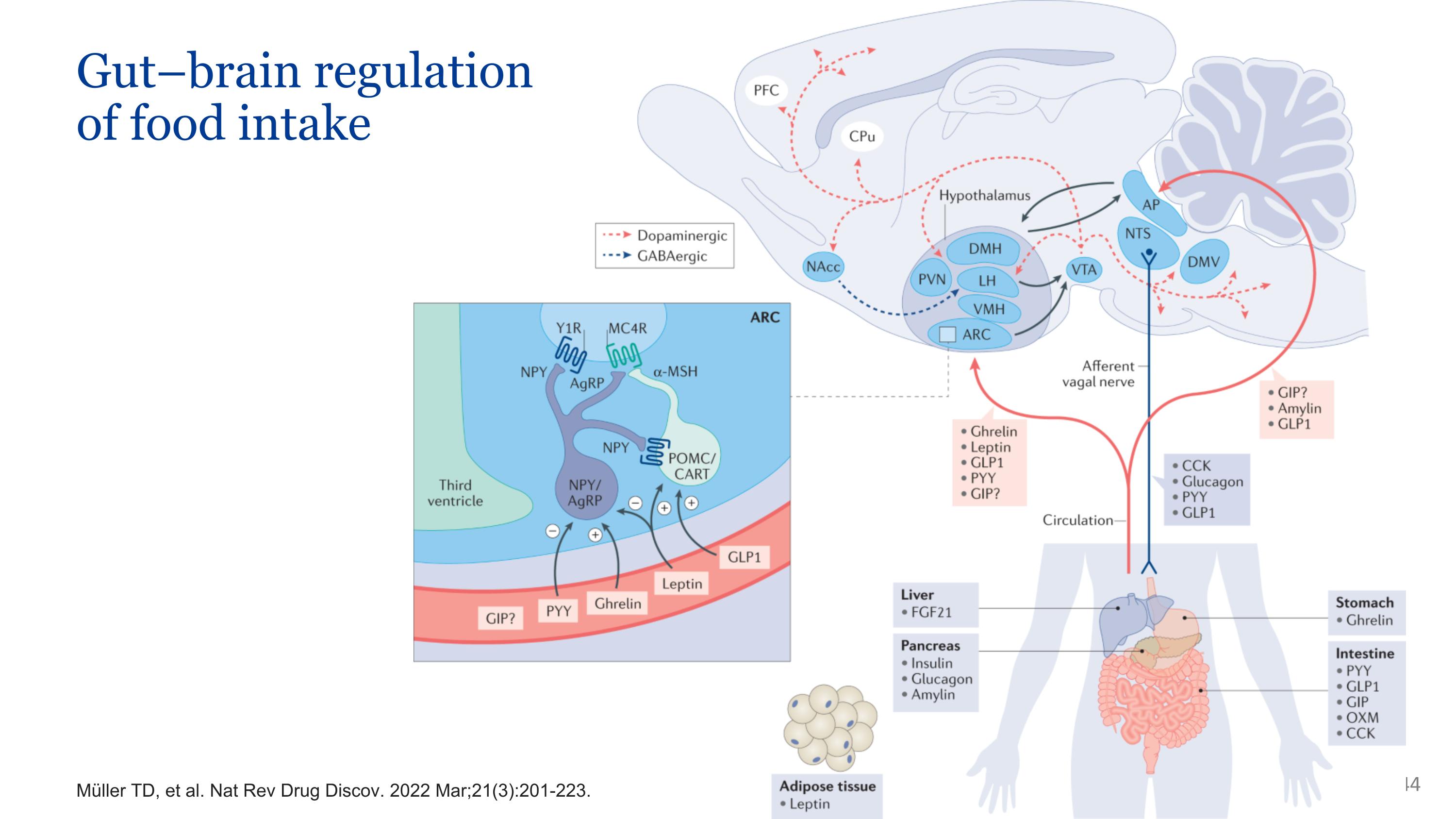 Slide 44