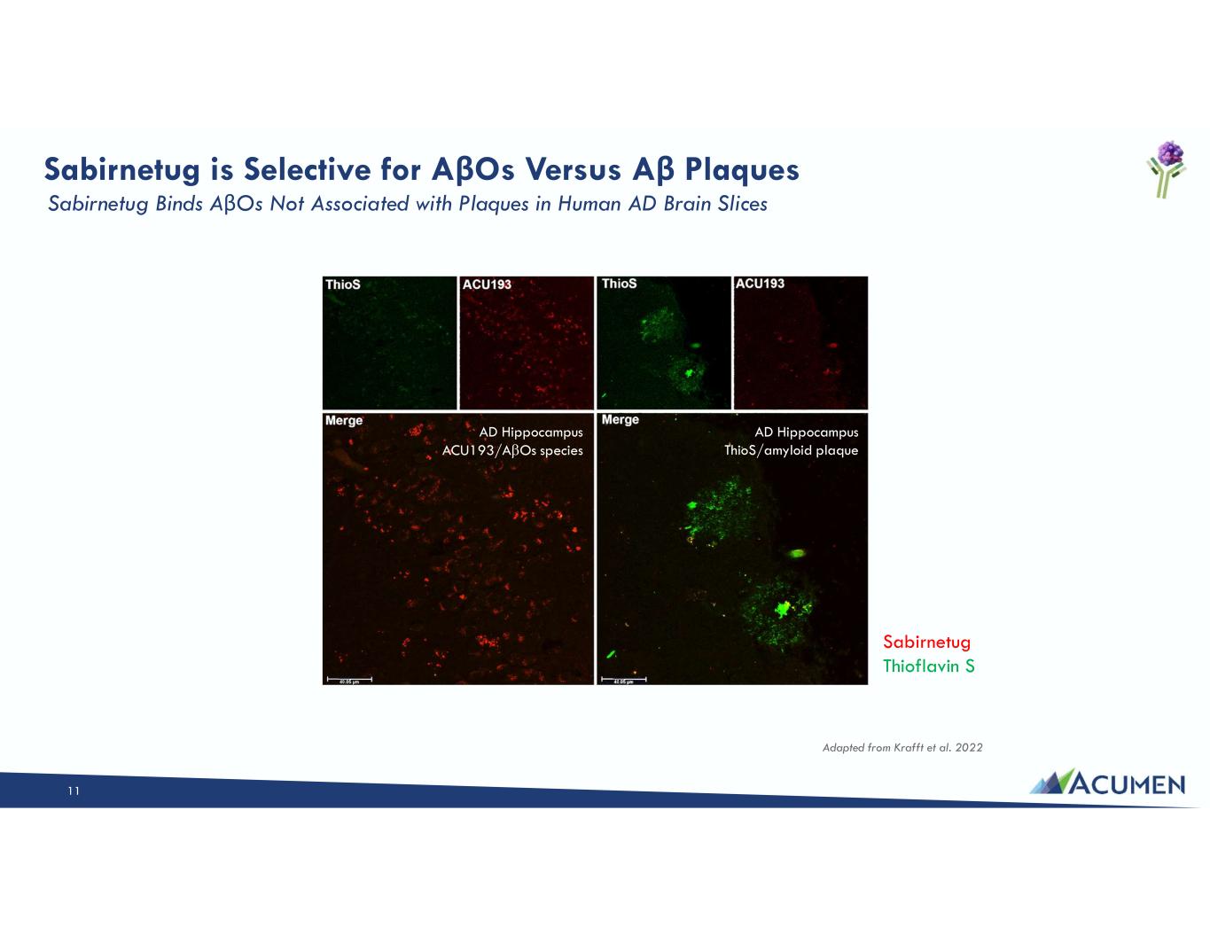 Slide 11 of 46