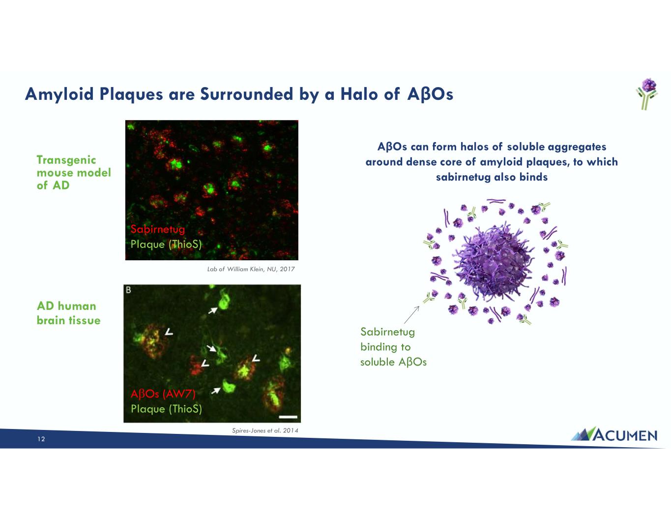 Slide 12 of 46