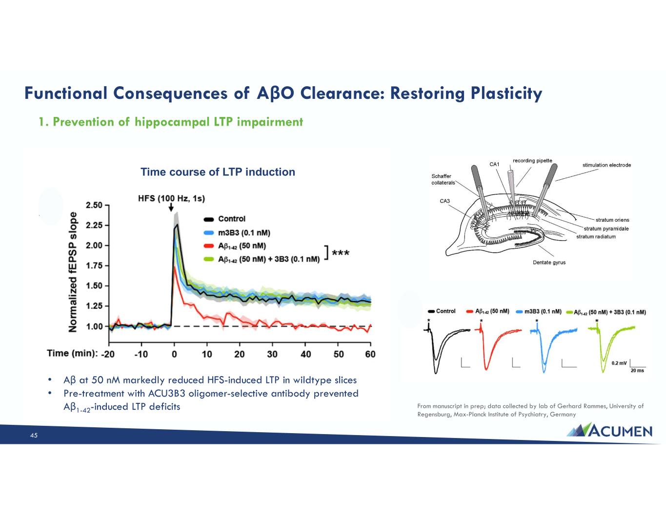 Slide 45 of 46