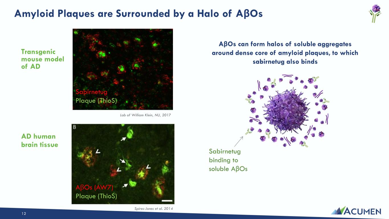 Slide 12 of 46