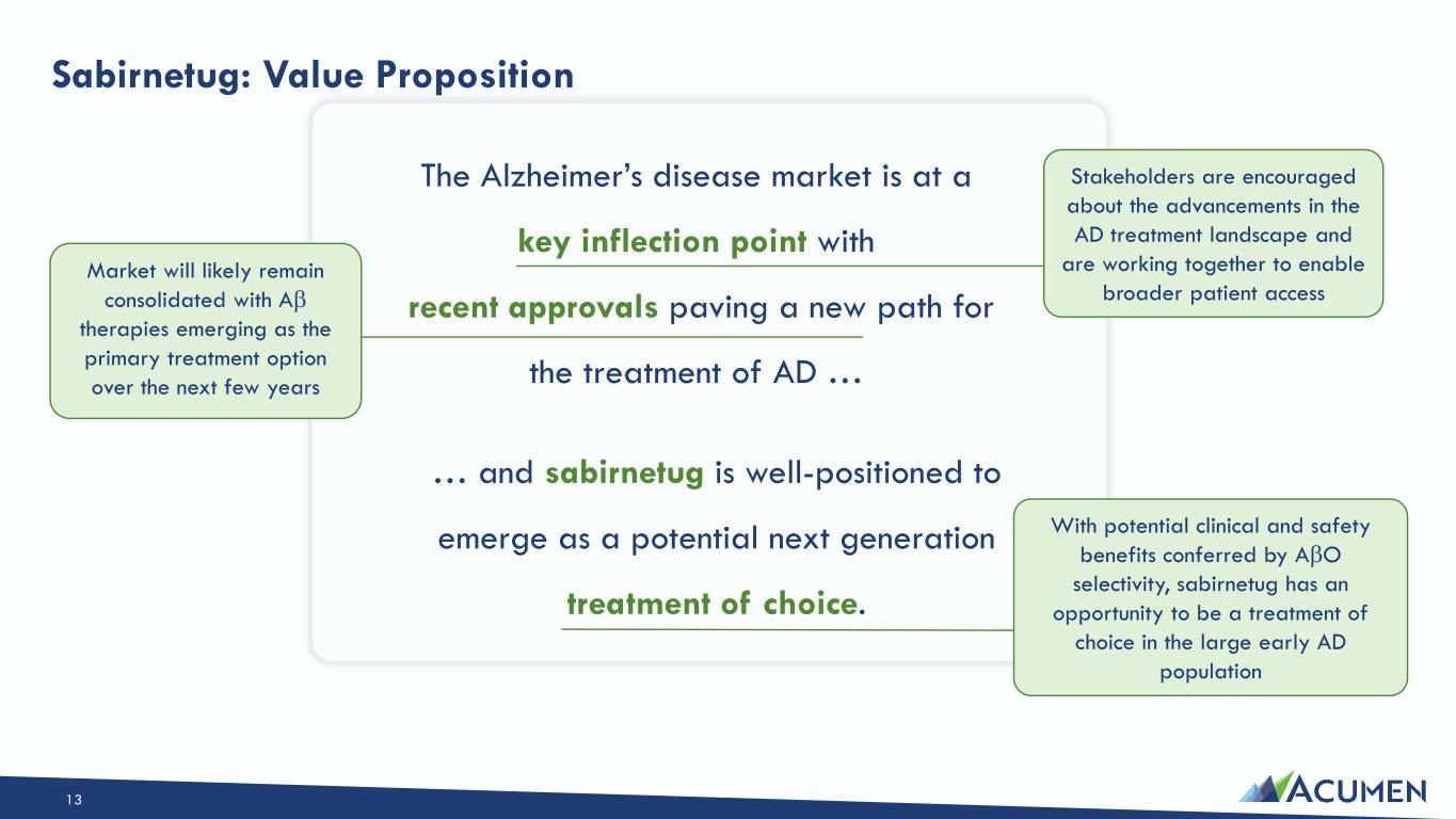Slide 13 of 46