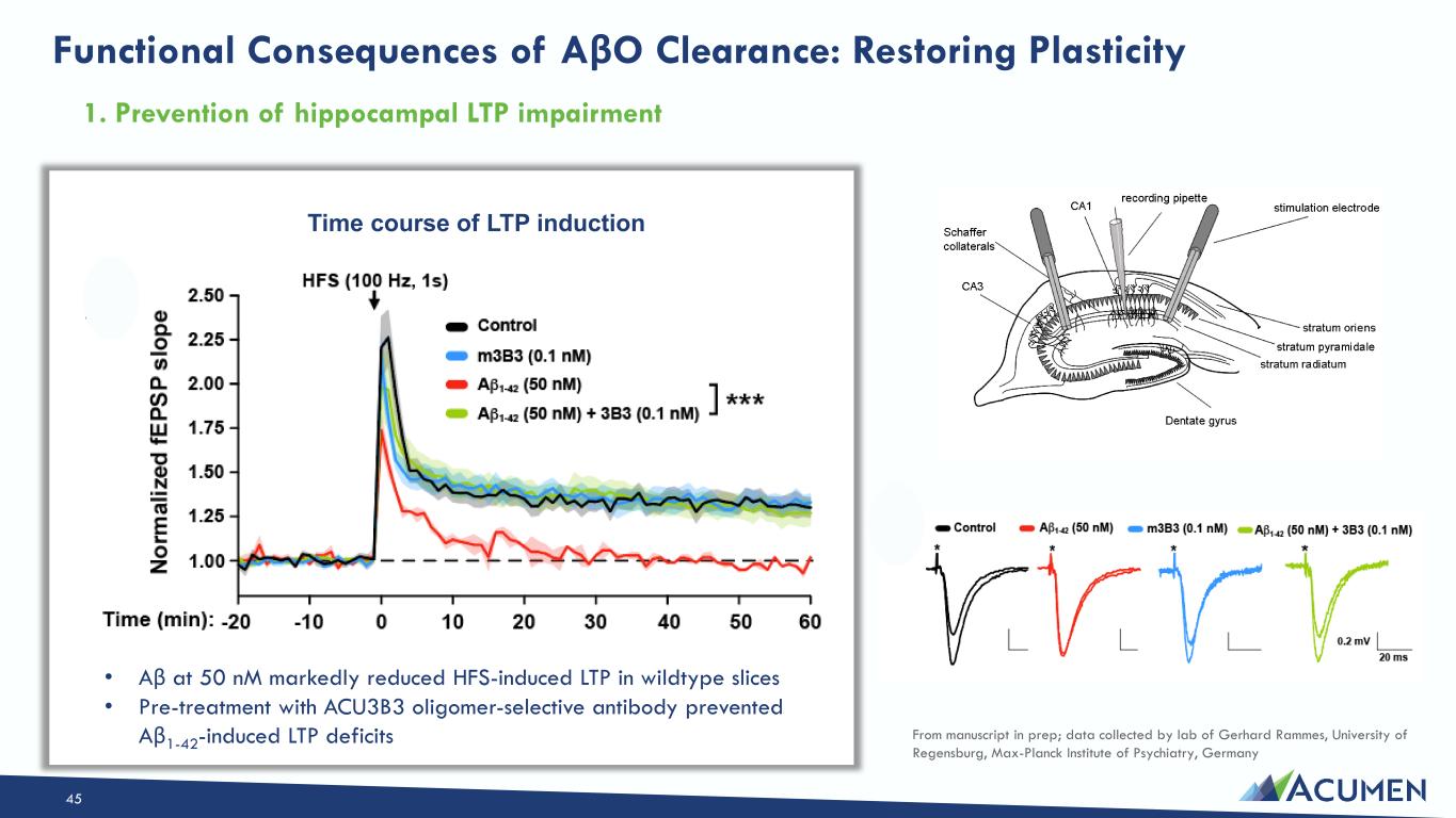 Slide 45 of 46