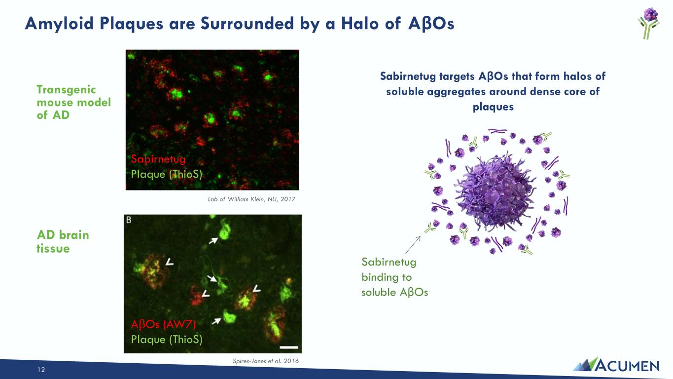 Slide 12 of 42