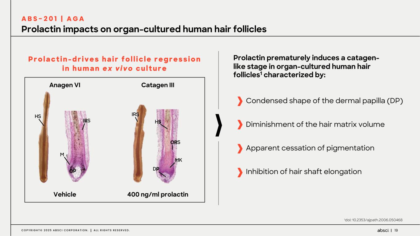 Slide 19 of 84