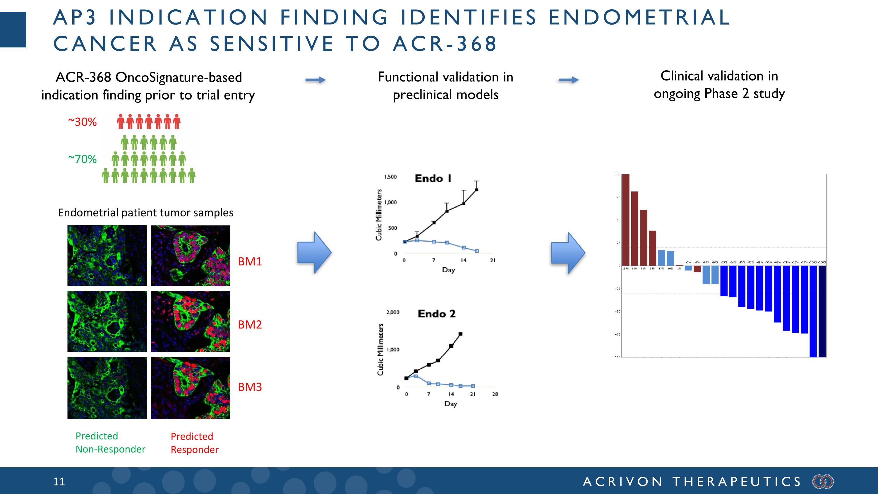 Slide 11
