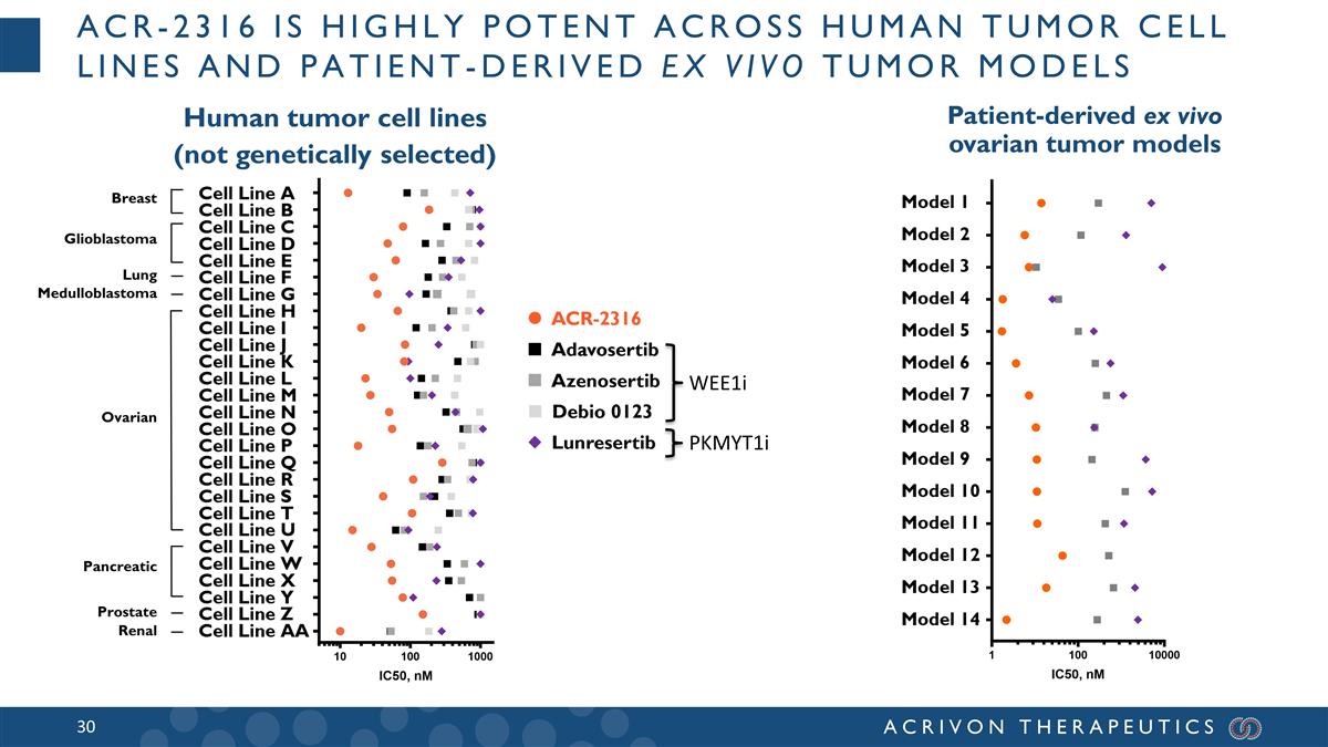 Slide 30
