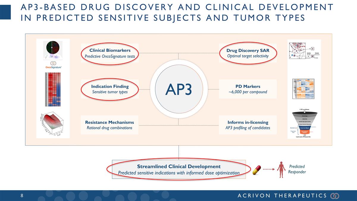 Slide 8