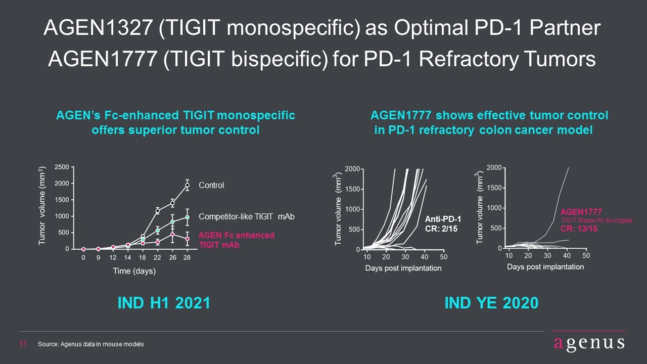 Slide 11
