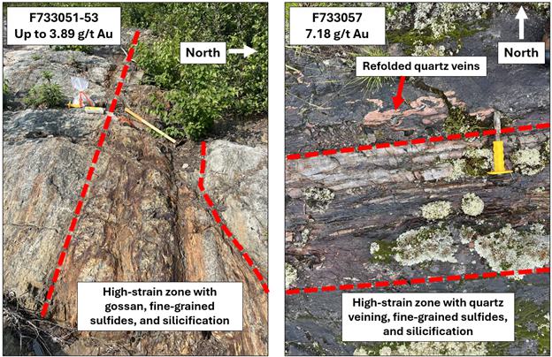 A comparison of rocks and plants
Description automatically generated
