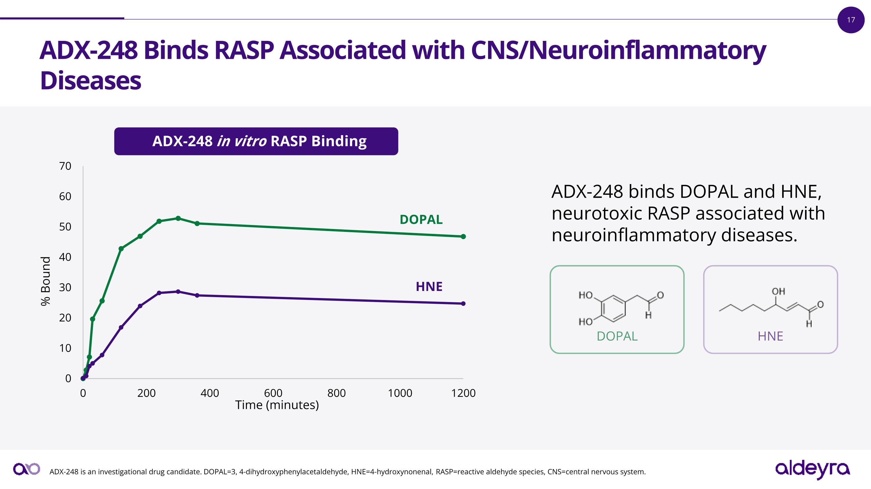 Slide 17