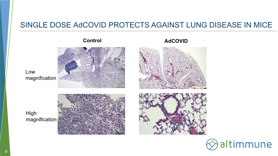 Slide 6
