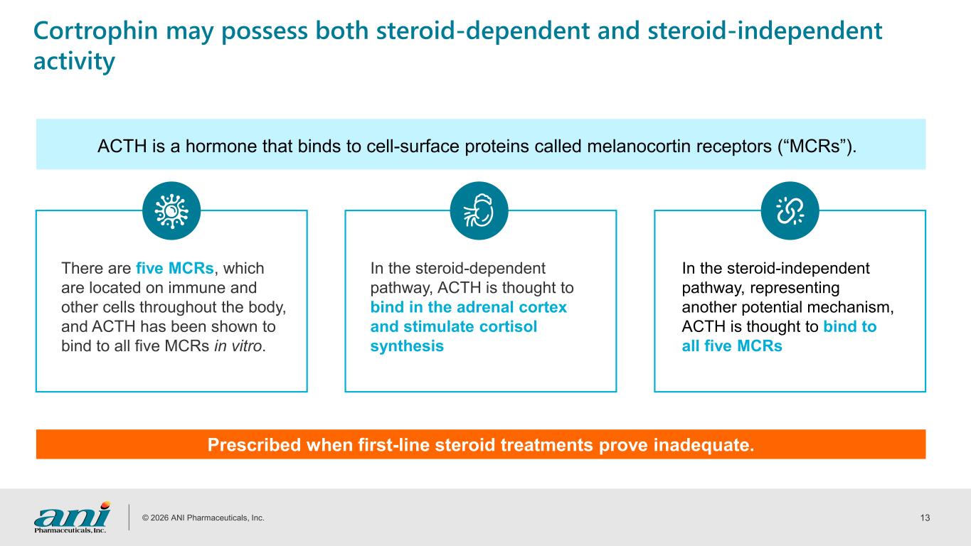 Slide 13 of 31