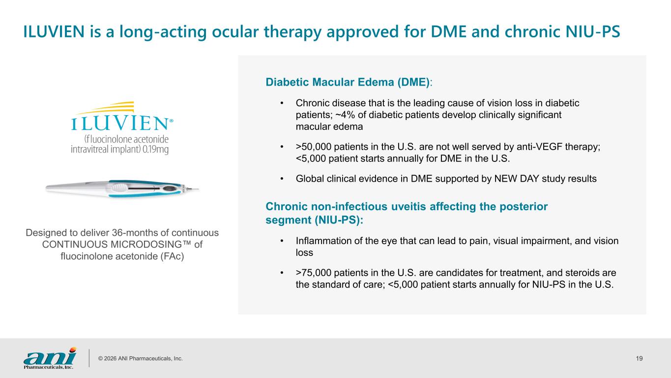 Slide 19 of 31
