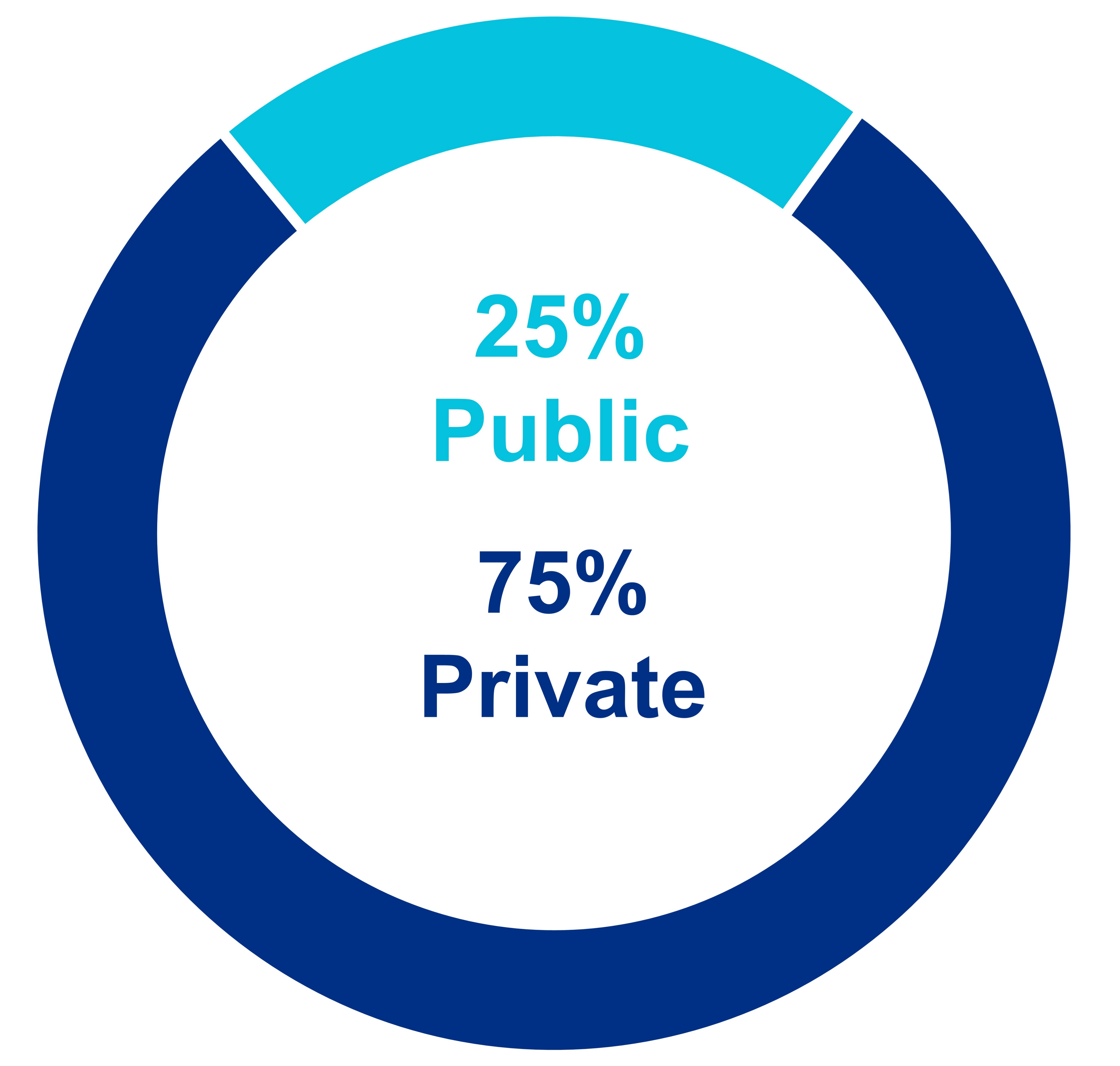 q420pubprivmixv21a.jpg