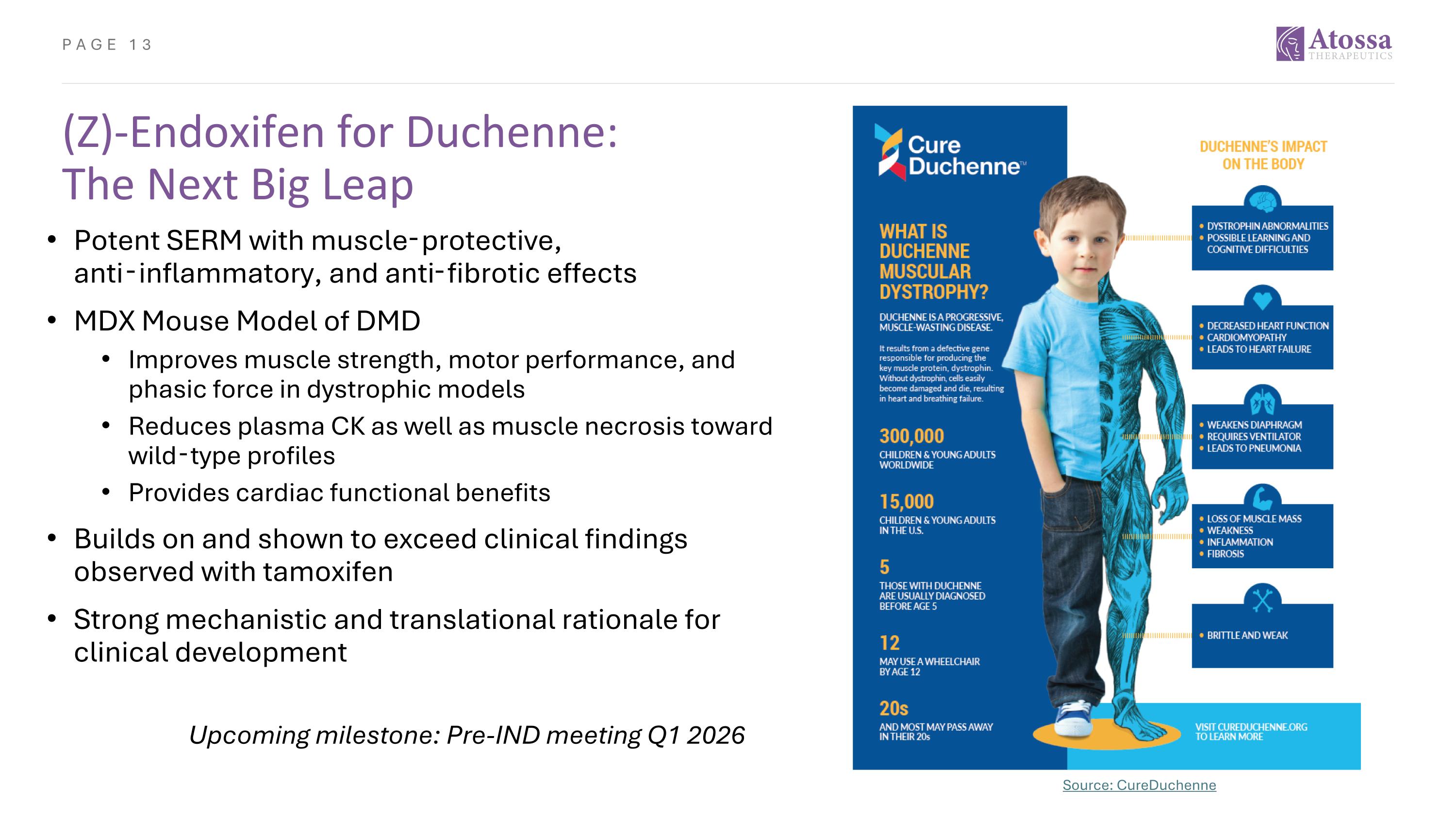 Slide 13