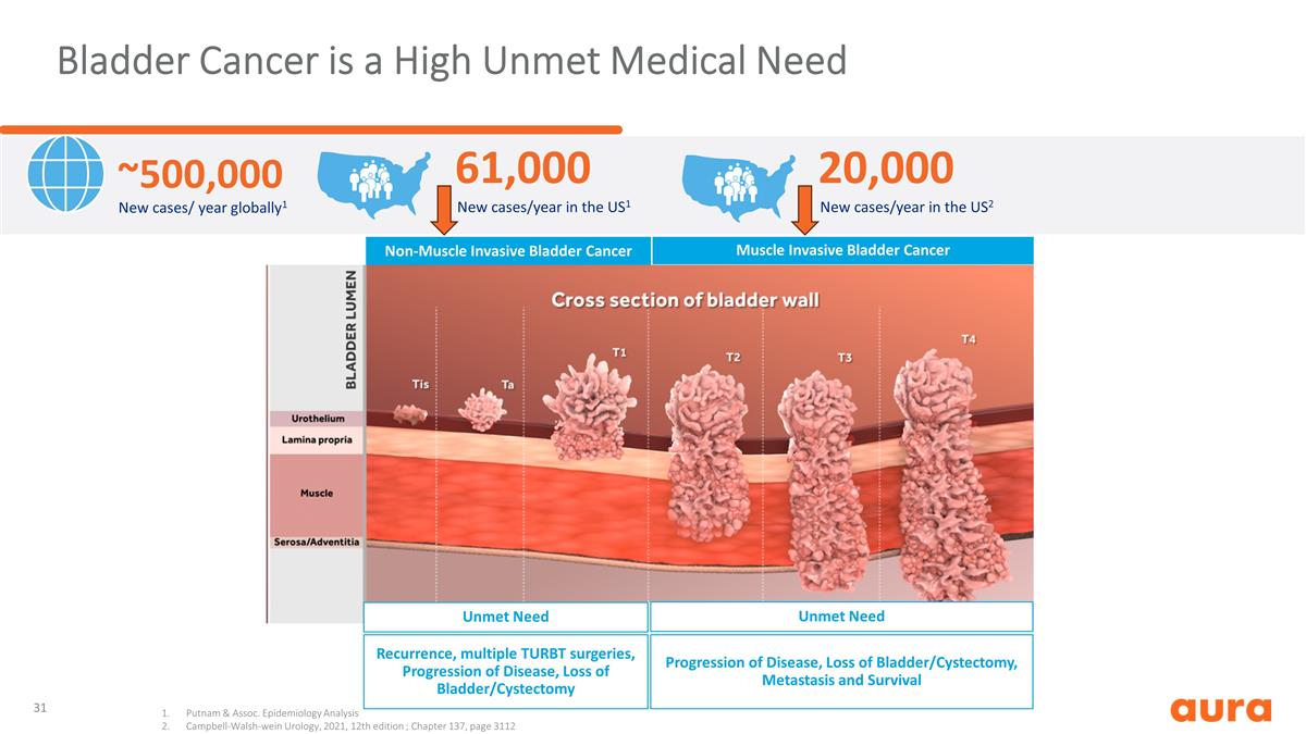 Slide 31